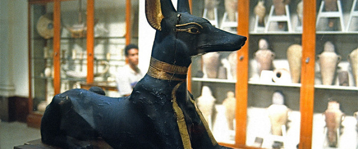 Origem / Origin Basenji