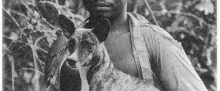 DESCOBRIMENTO / DISCOVERY