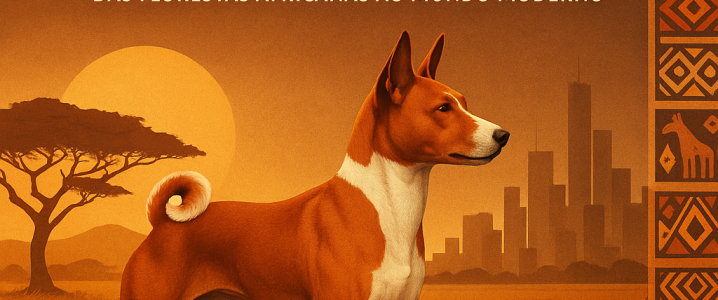 CURIOSIDADES / CURIOSITIES