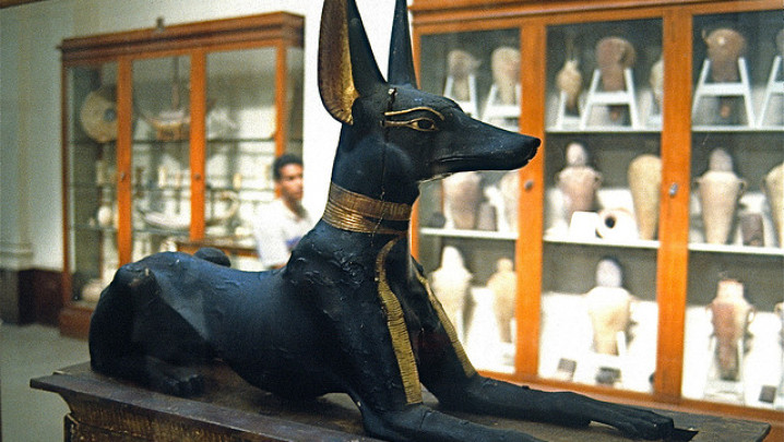 Origem / Origin Basenji