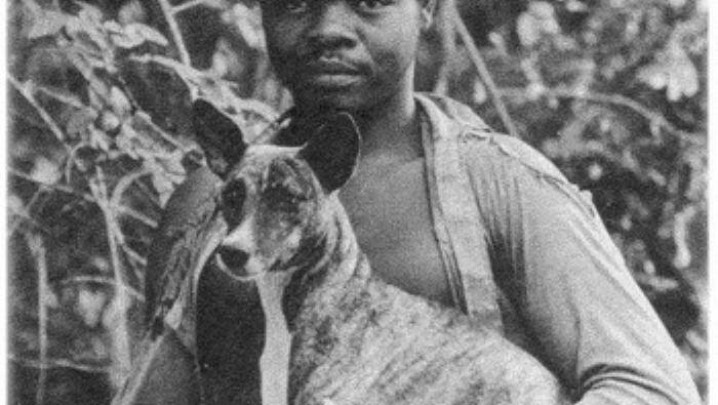 DESCOBRIMENTO / DISCOVERY