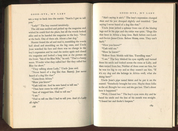 BASENJI NO CINEMA /  BASENJI IN CINEMA