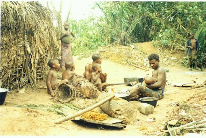 Sr. Henry Hamilton Johnston