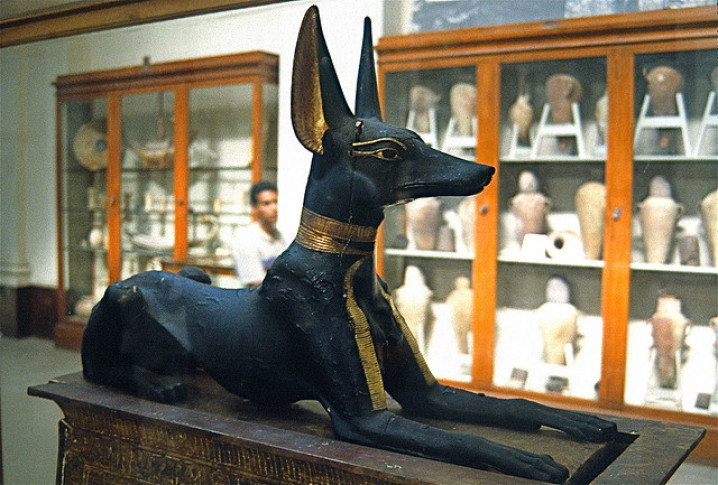 Origem / Origin Basenji