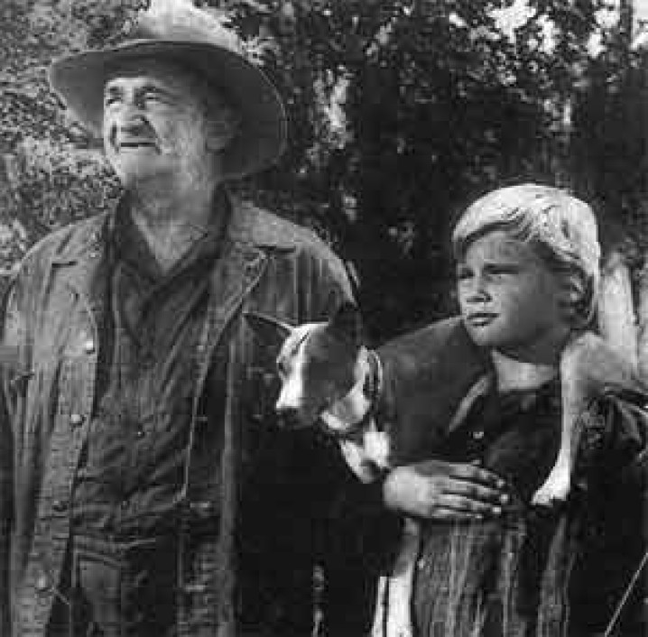 BASENJI NO CINEMA /  BASENJI IN CINEMA