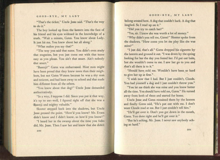 BASENJI NO CINEMA /  BASENJI IN CINEMA