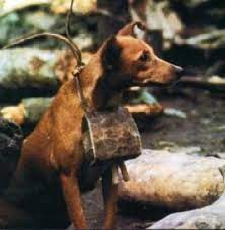 Sr. Henry Hamilton Johnston