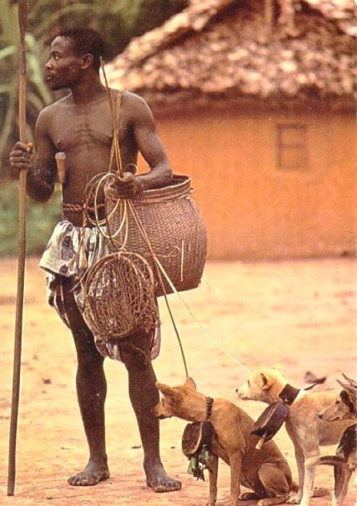 MIGRAÇÃO / MIGRATION 