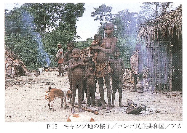 DESCOBRIMENTO / DISCOVERY