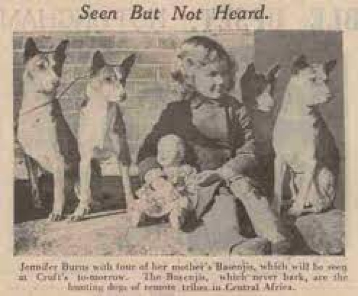 BASENJI NA EXPOSIÇÃO CRUFTS / BASENJI AT THE CRUFTS EXHIBITION