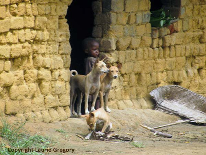 MIGRAÇÃO / MIGRATION 