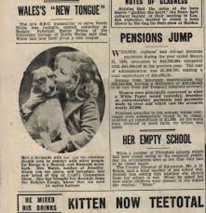 BASENJI NA EXPOSIÇÃO CRUFTS / BASENJI AT THE CRUFTS EXHIBITION