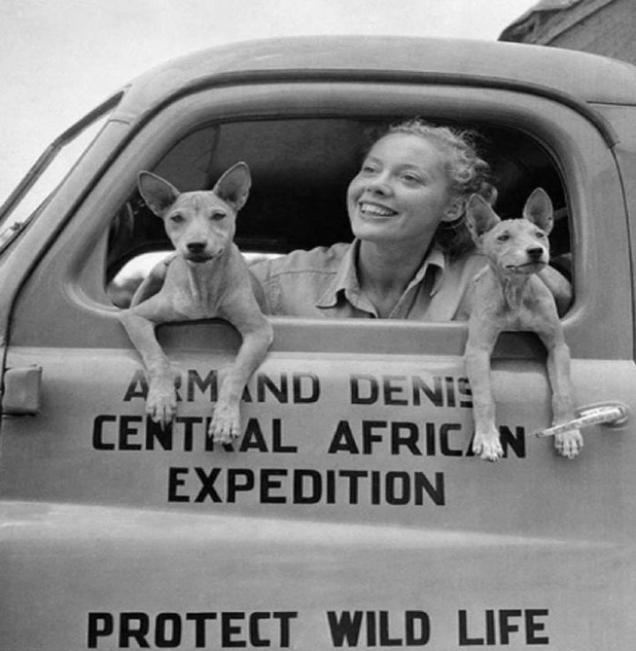 CURIOSIDADES / CURIOSITIES