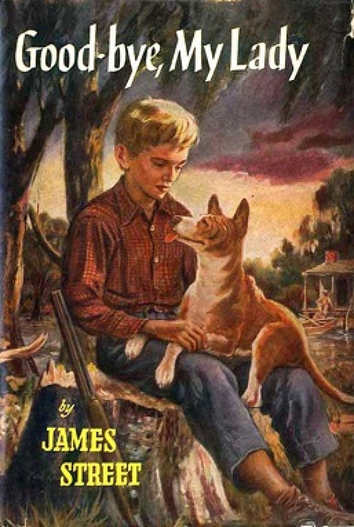 BASENJI NA EXPOSIÇÃO CRUFTS / BASENJI AT THE CRUFTS EXHIBITION