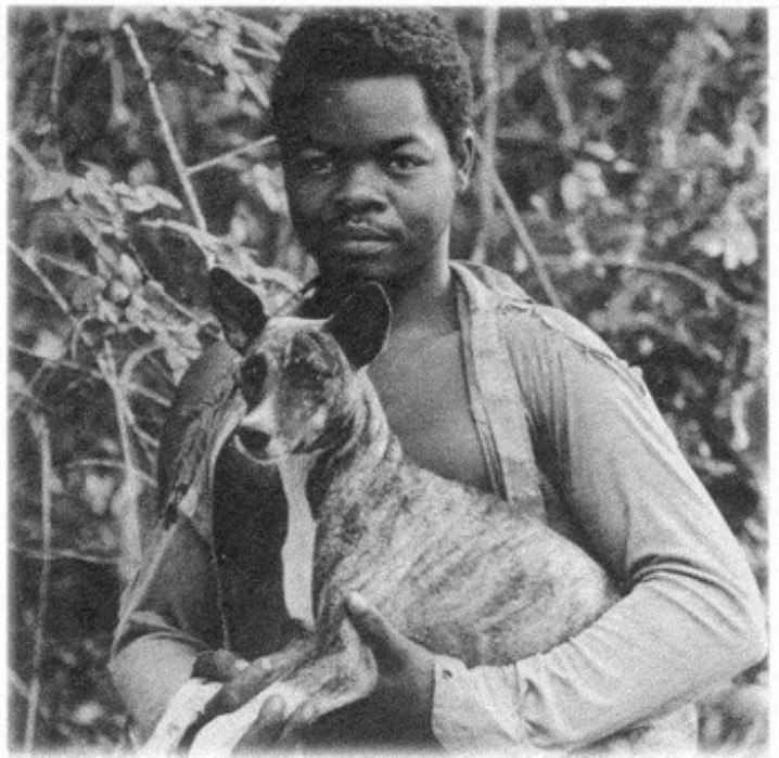 MIGRAÇÃO / MIGRATION 