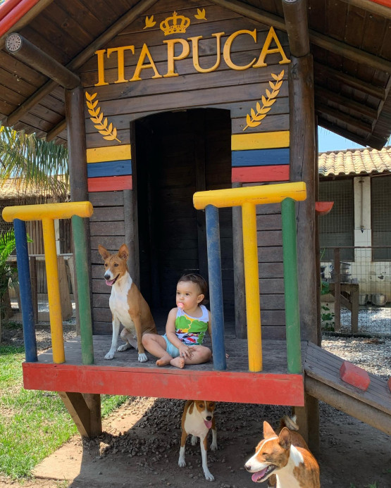 O Melhor Canil do Brasil