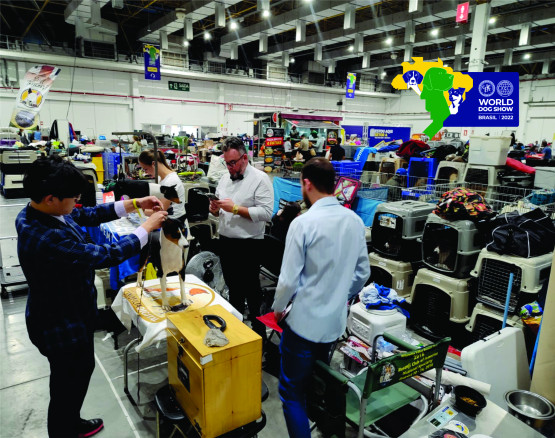 O Melhor Canil do Brasil