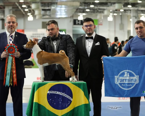 O Melhor Canil do Brasil