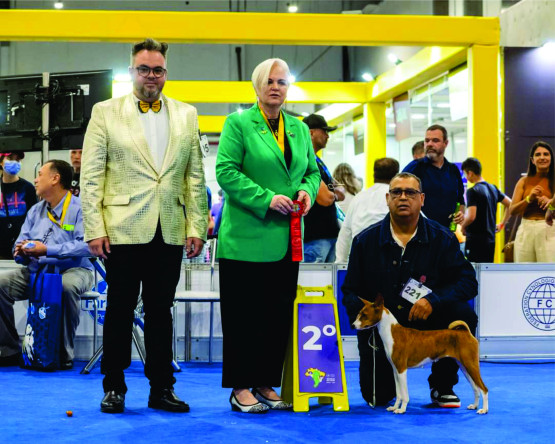 O Melhor Canil do Brasil