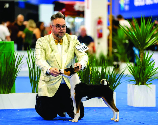 O Melhor Canil do Brasil