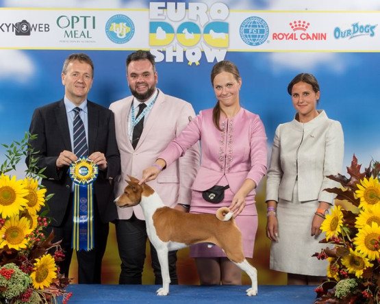 O Melhor Canil do Brasil