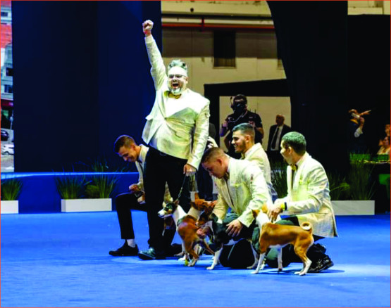 O Melhor Canil do Brasil