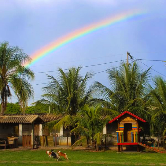 O Melhor Canil do Brasil