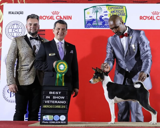 O Melhor Canil do Brasil