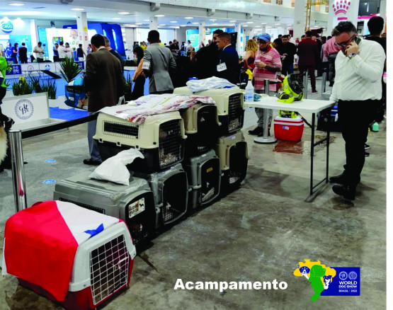 O Melhor Canil do Brasil