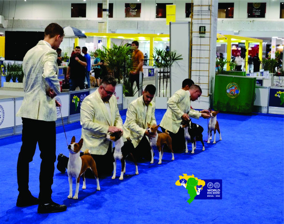 O Melhor Canil do Brasil