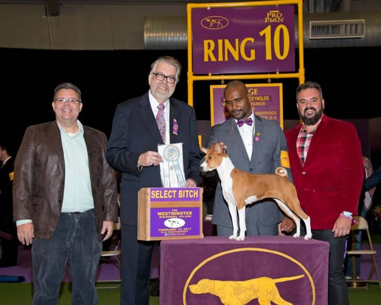 O Melhor Canil do Brasil