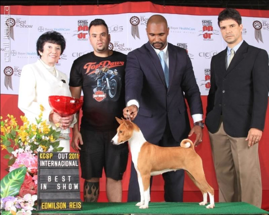 O Melhor Canil do Brasil