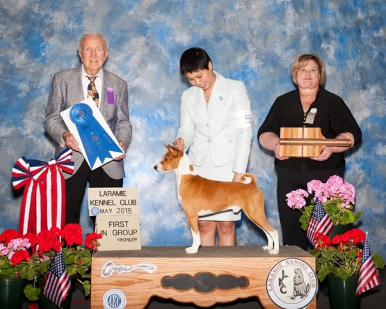 O Melhor Canil do Brasil